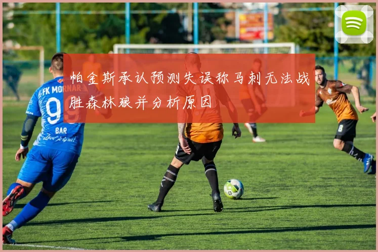 帕金斯承认预测失误称马刺无法战胜森林狼并分析原因